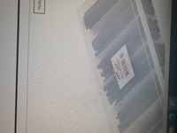 ������ �̹���