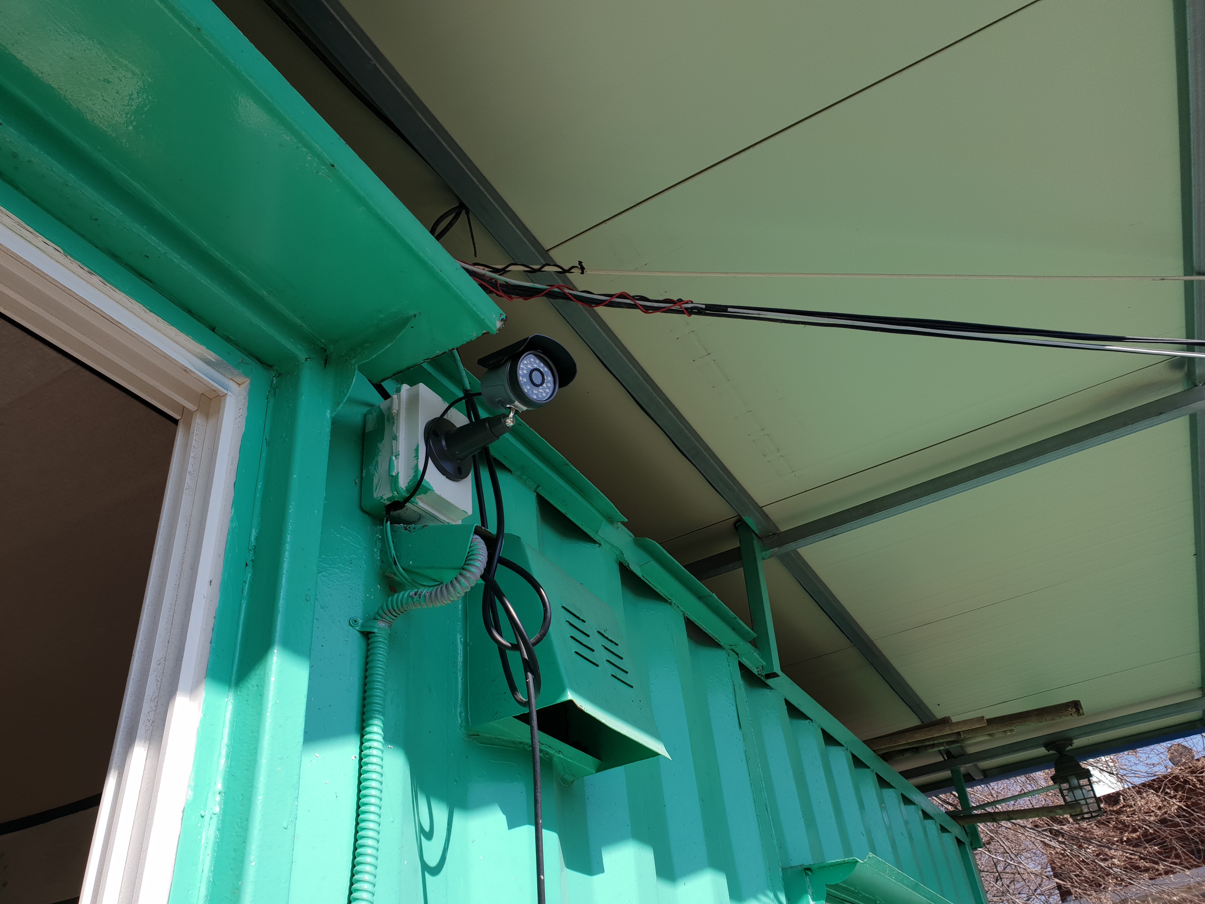 ������ �̹���