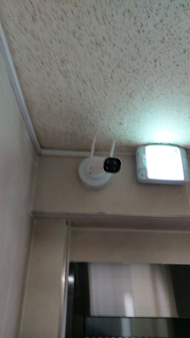 ������ �̹���