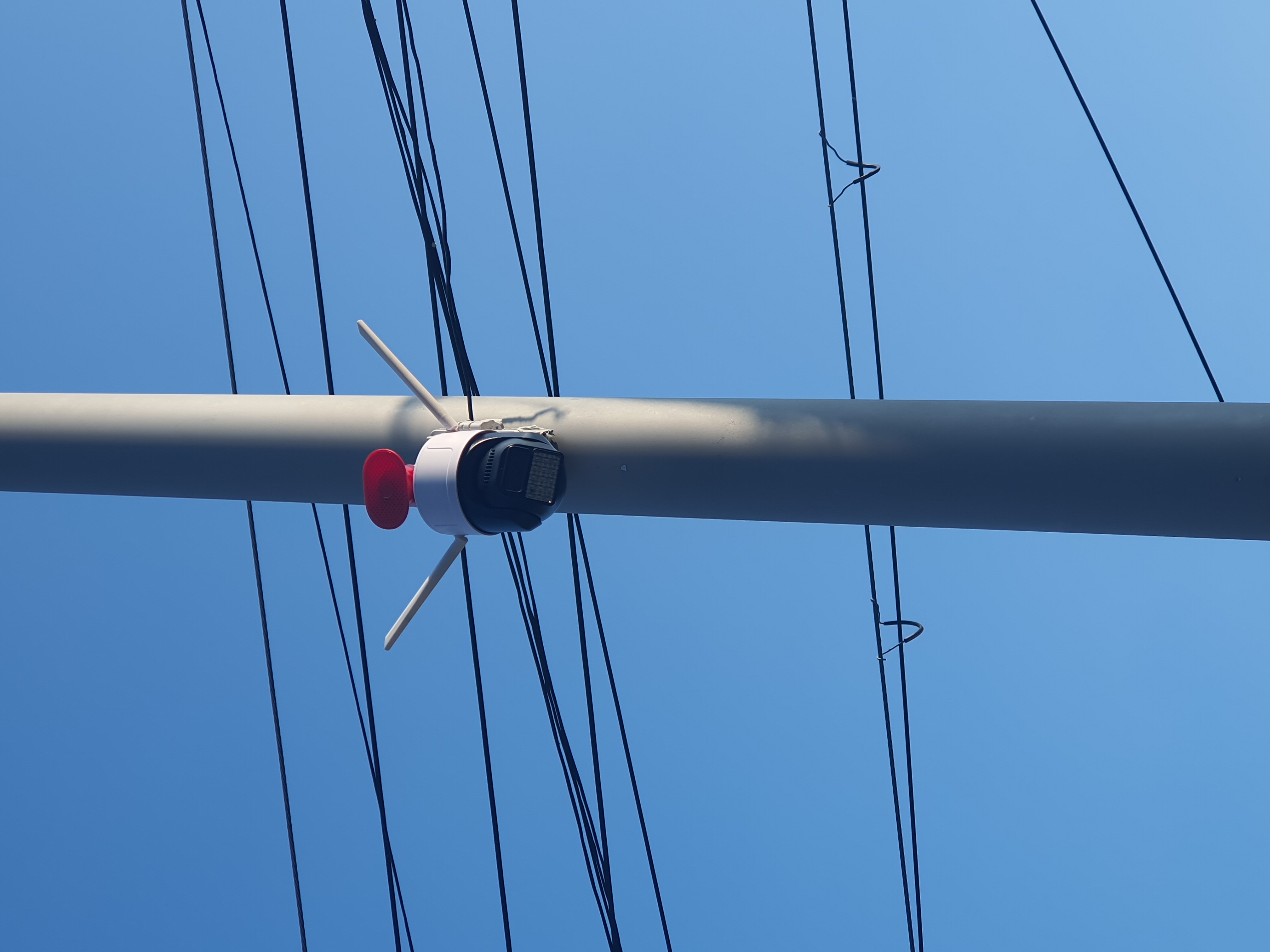 ������ �̹���