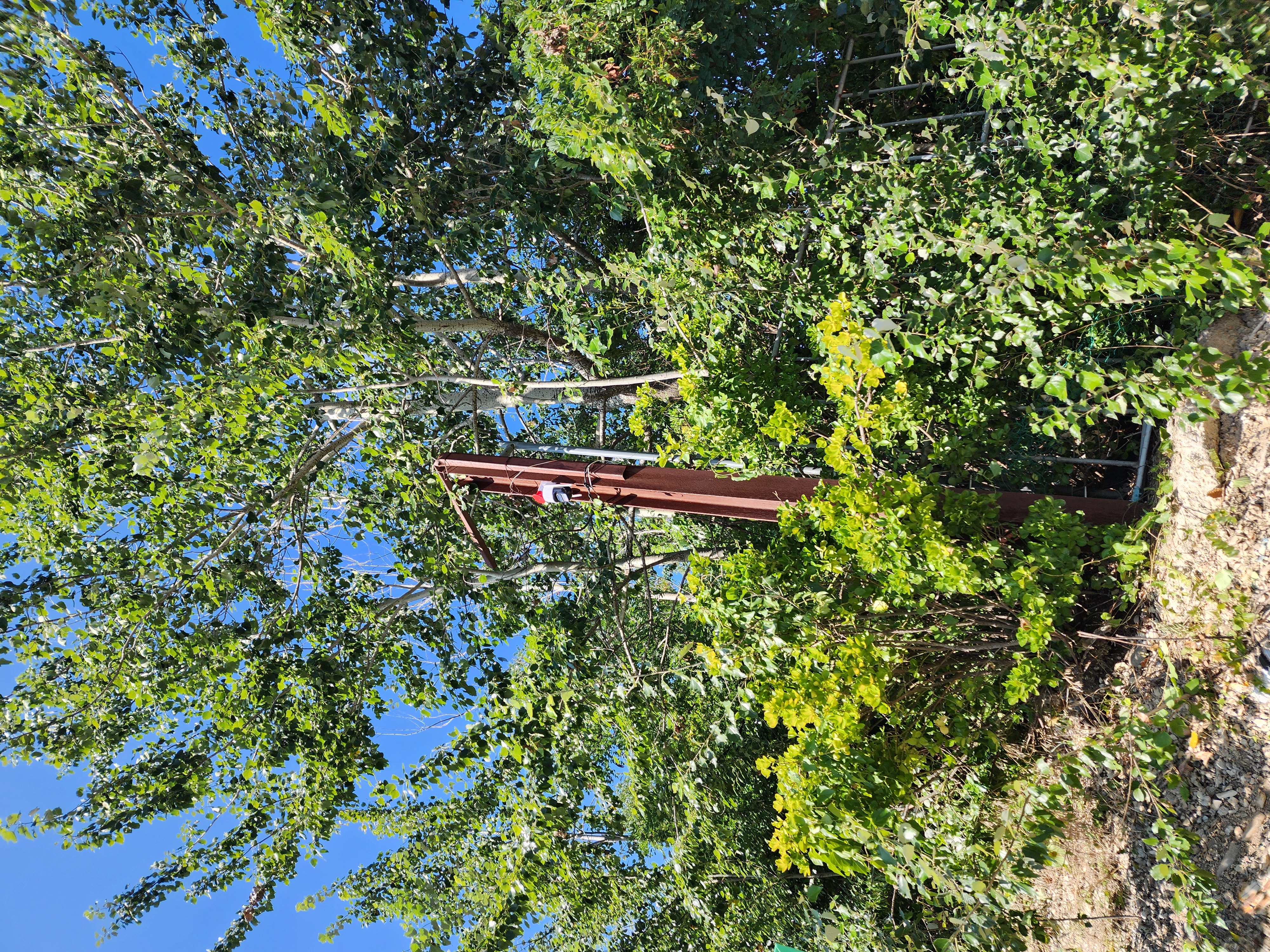 ������ �̹���