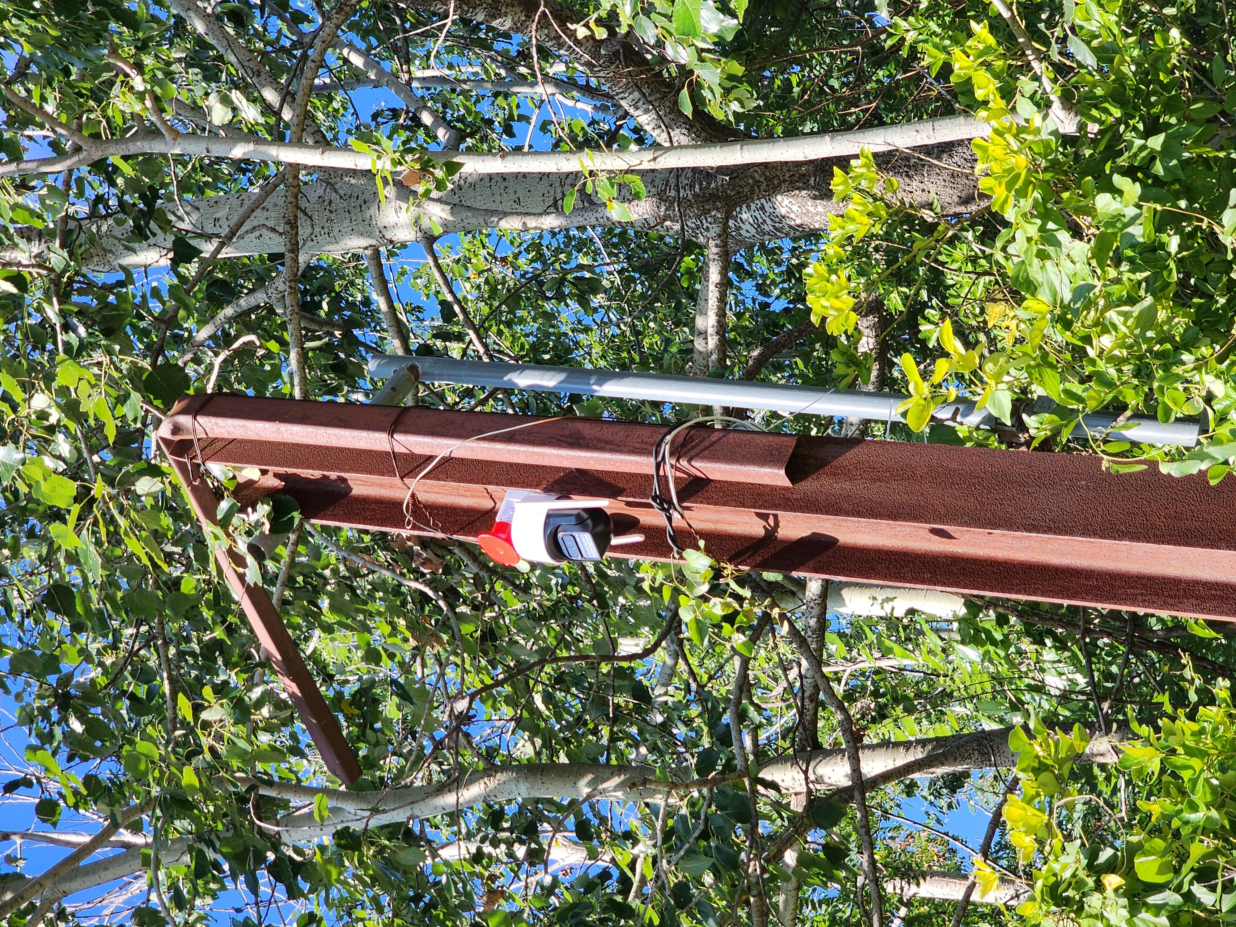 ������ �̹���