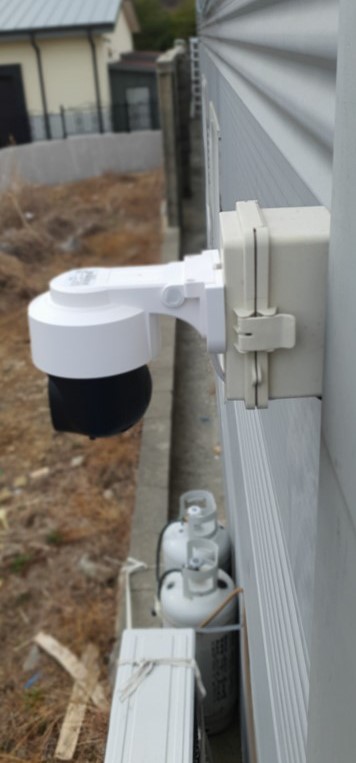 ������ �̹���