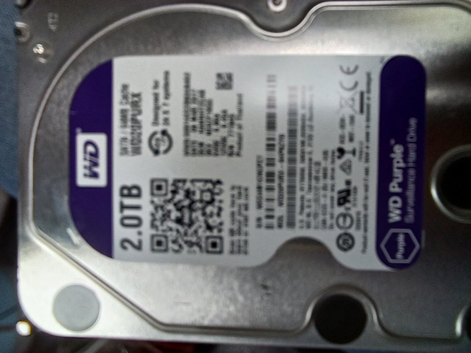 ������ �̹���