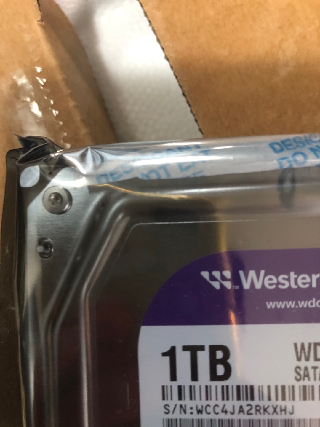 ������ �̹���