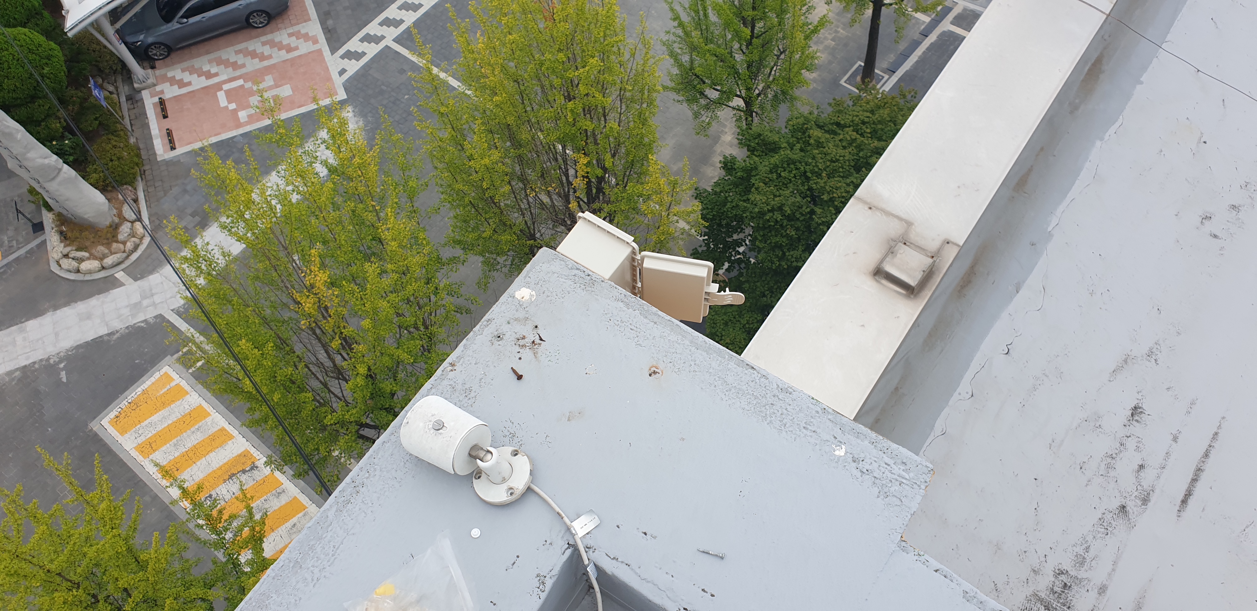 ������ �̹���