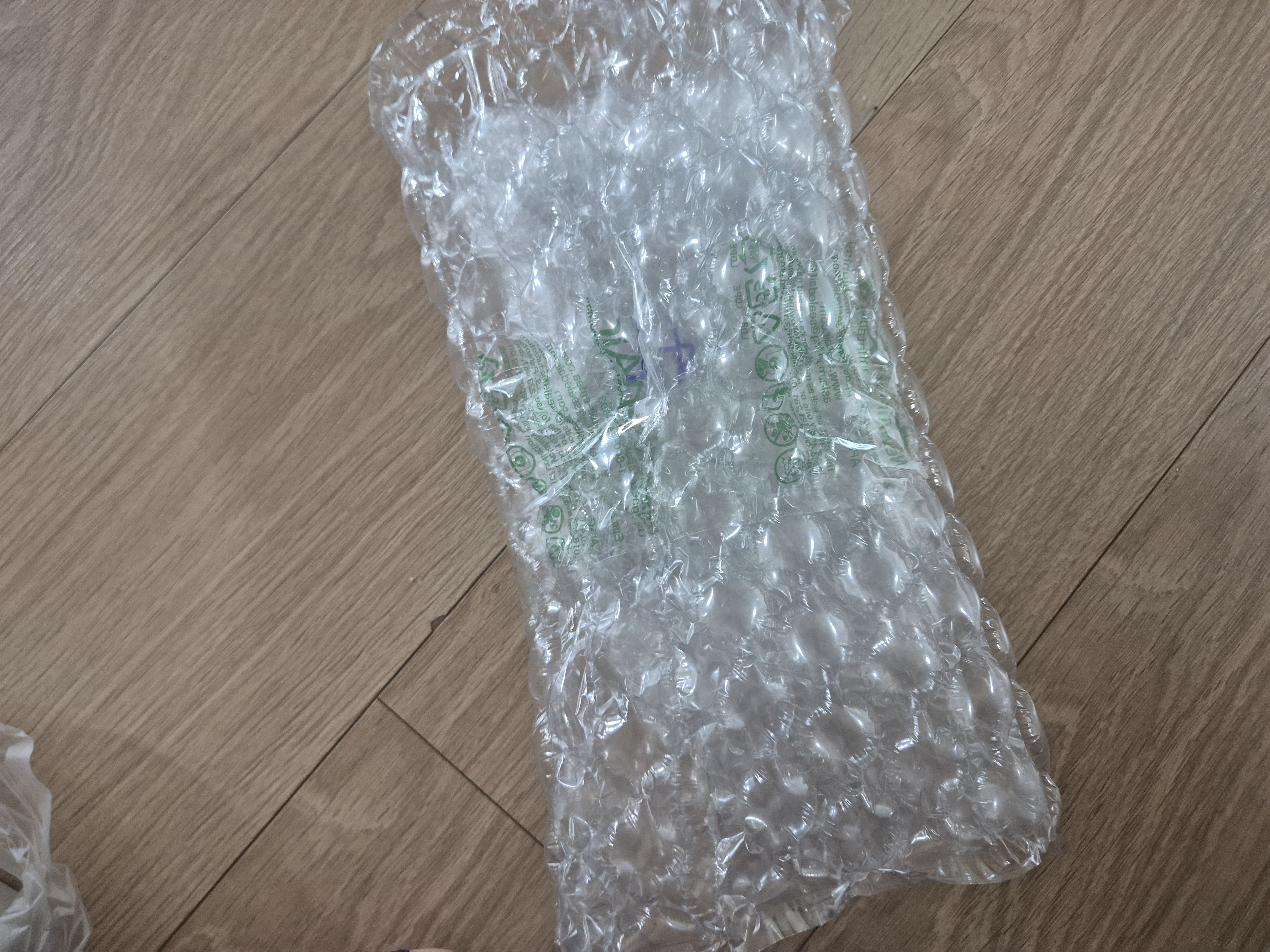 ������ �̹���