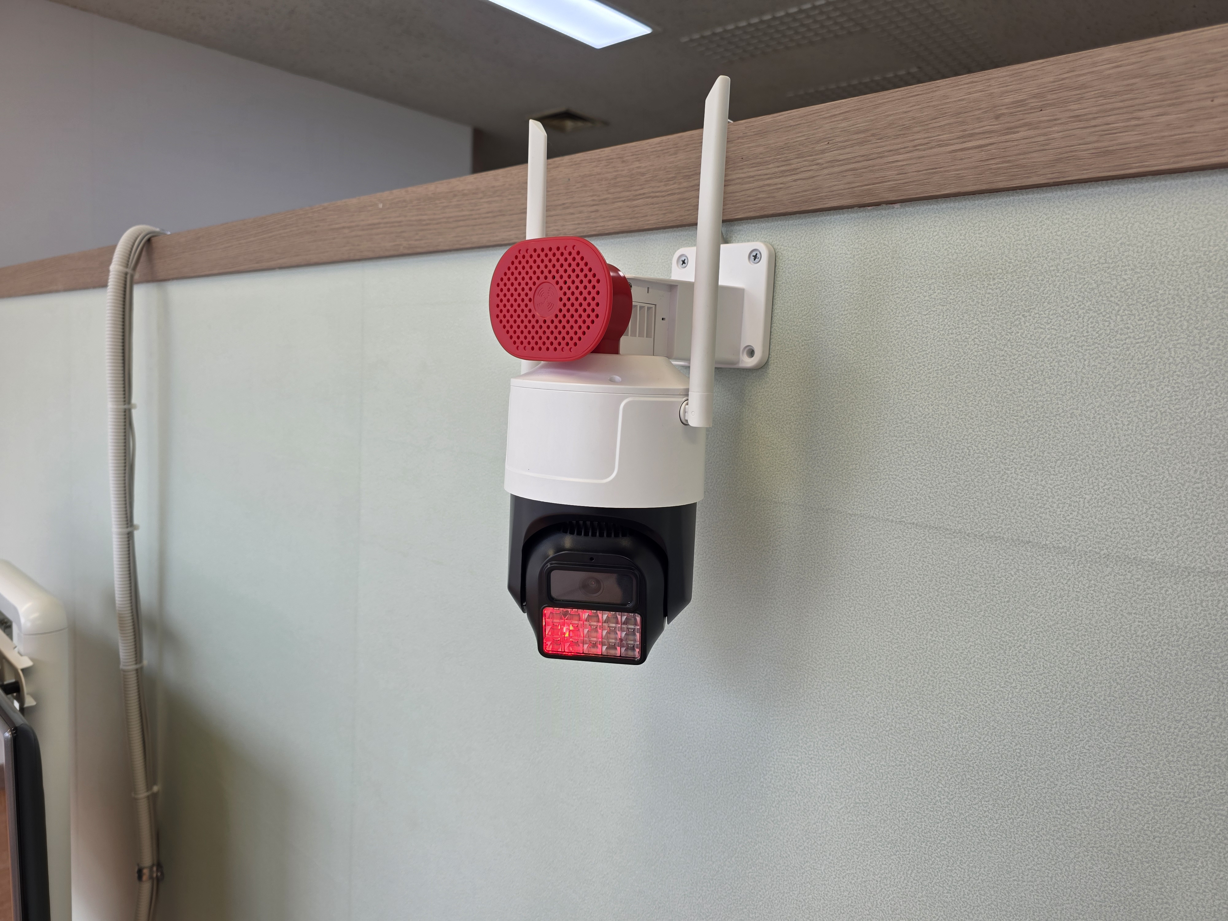 ������ �̹���