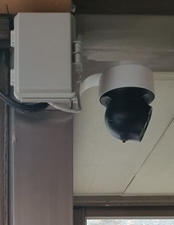 ������ �̹���