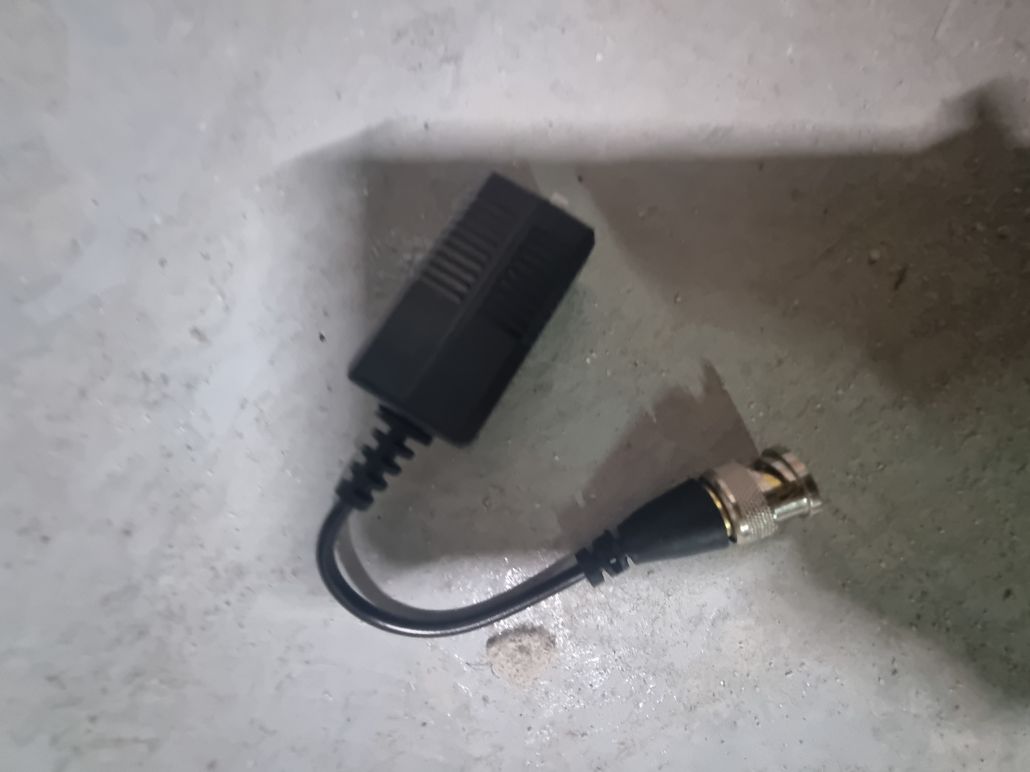 ������ �̹���