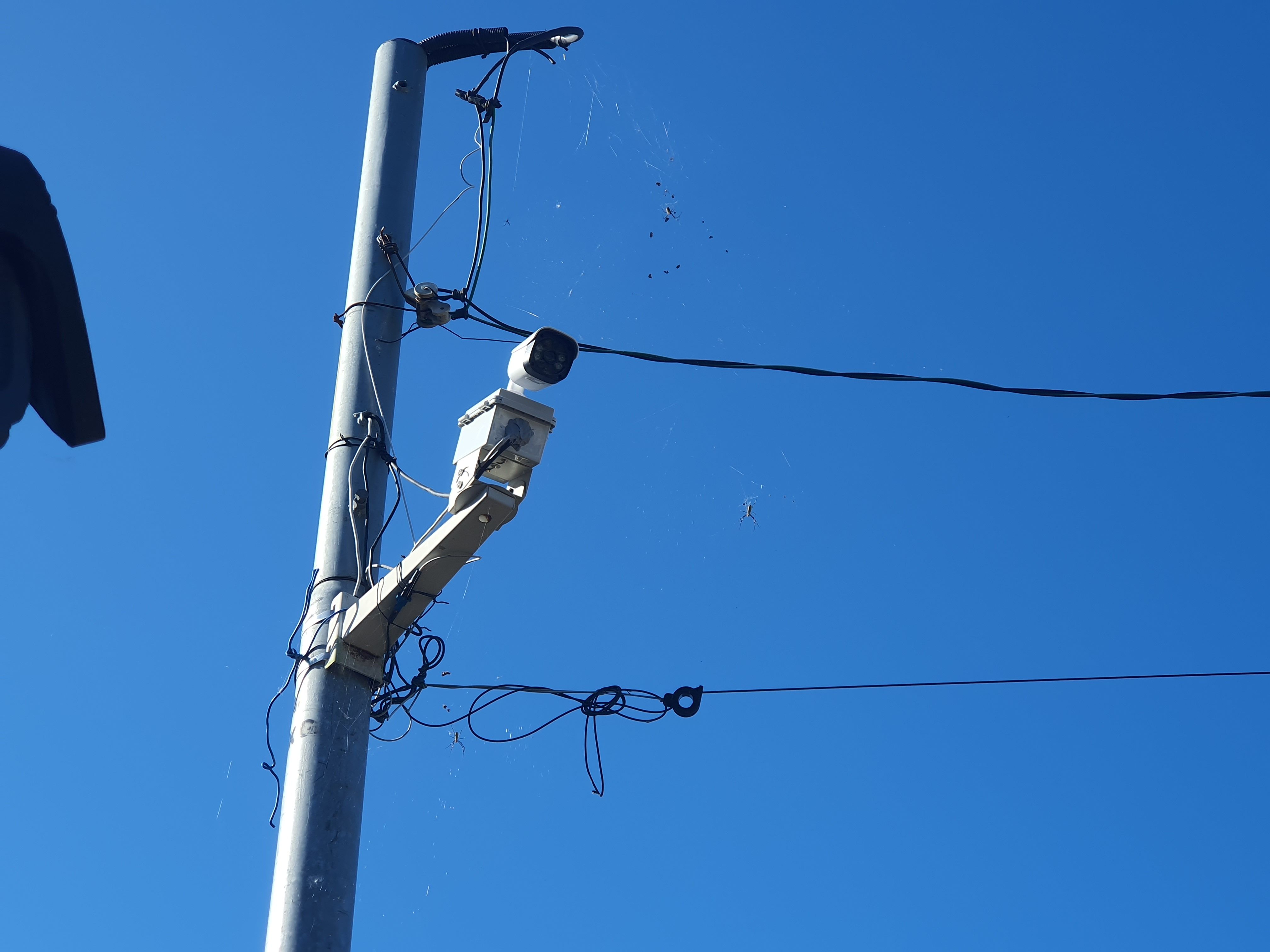 ������ �̹���