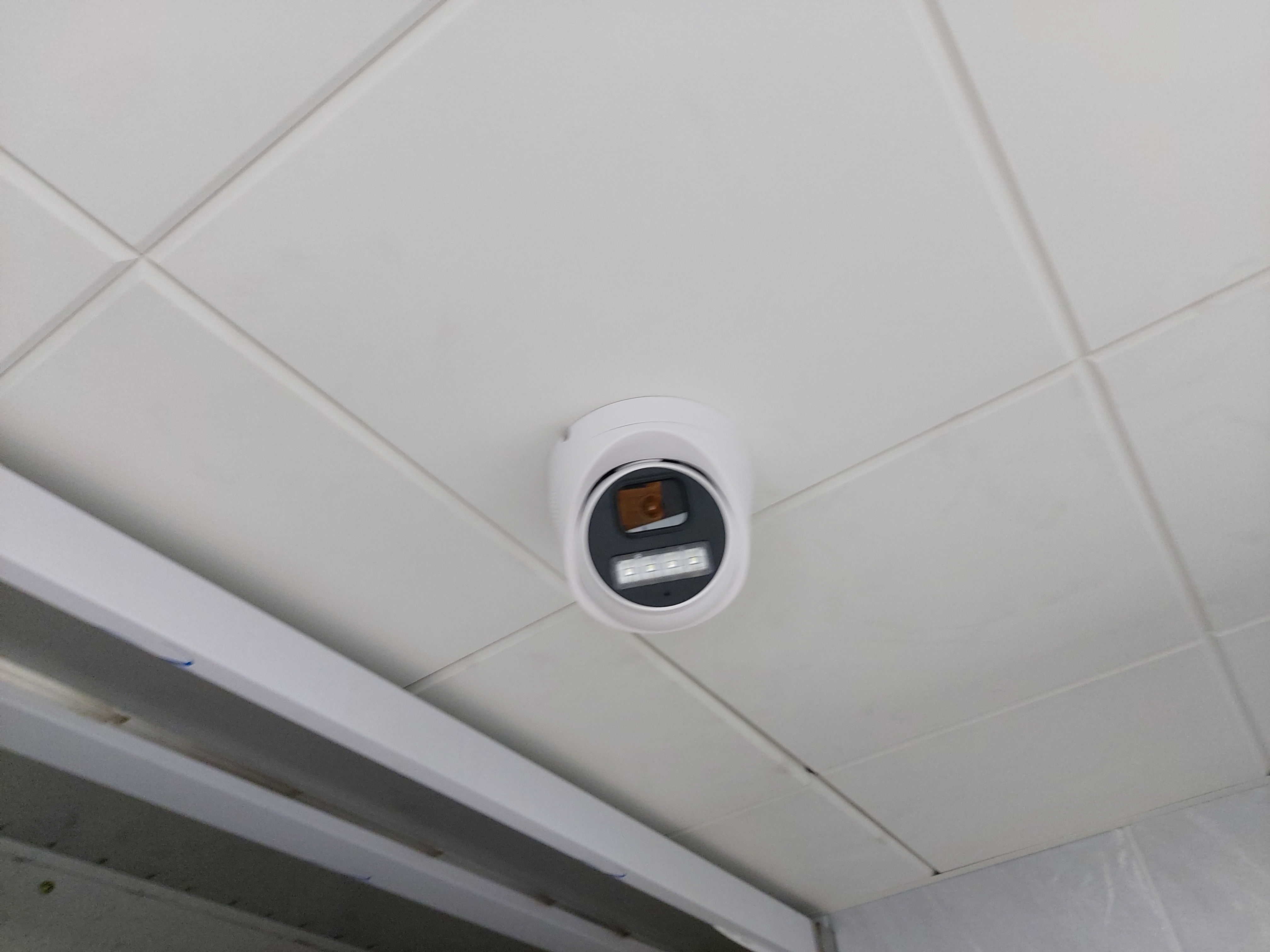 ������ �̹���