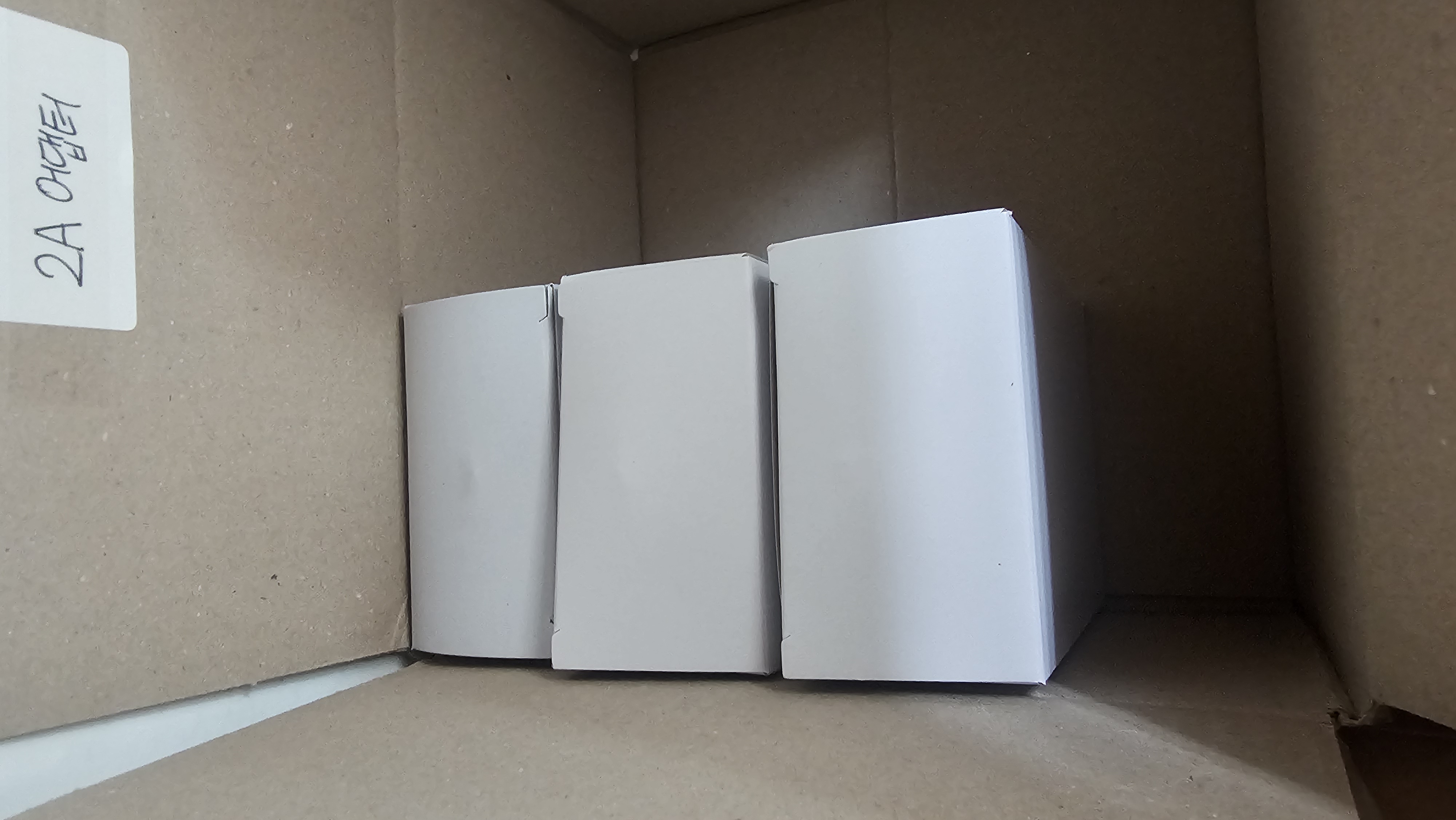 ������ �̹���