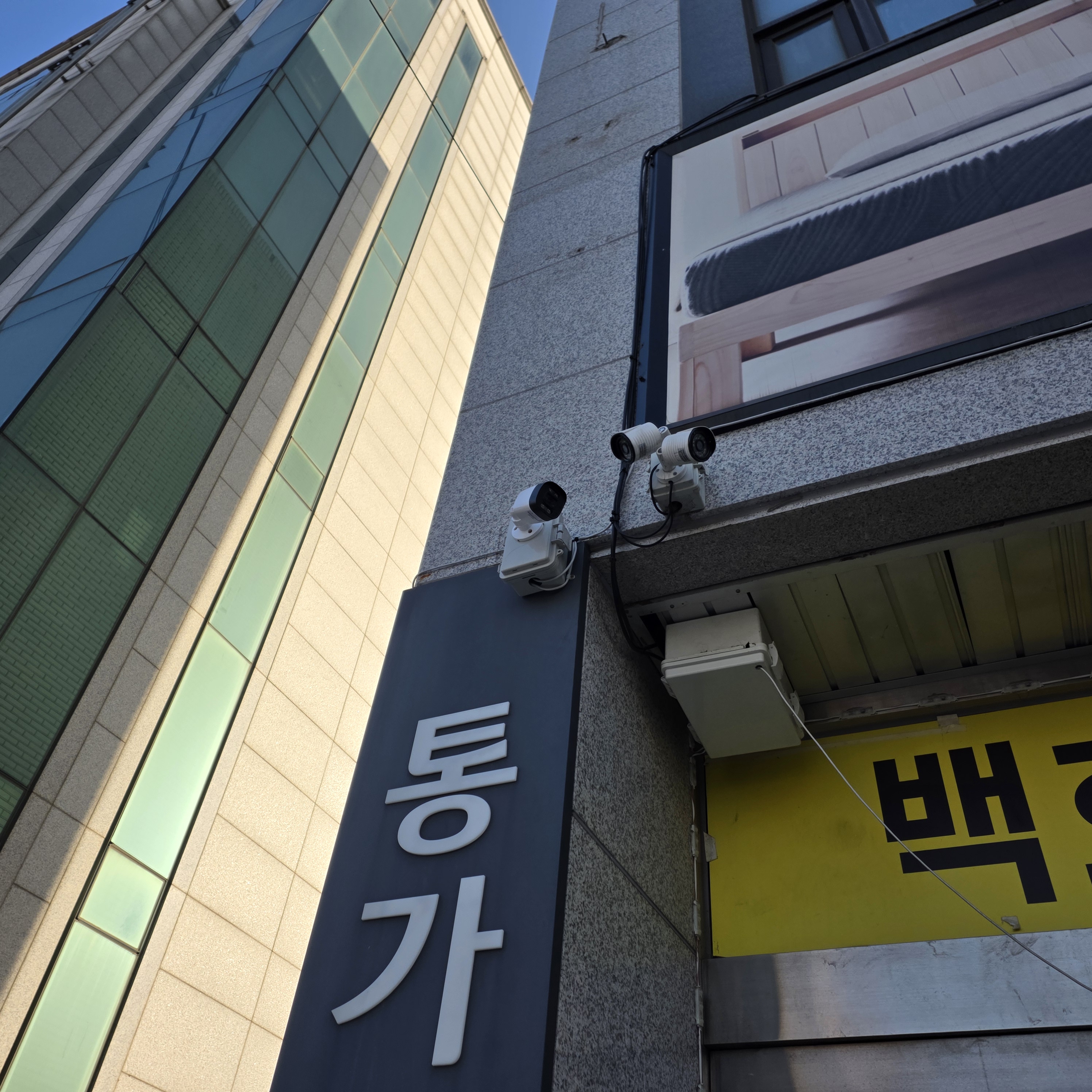 ������ �̹���