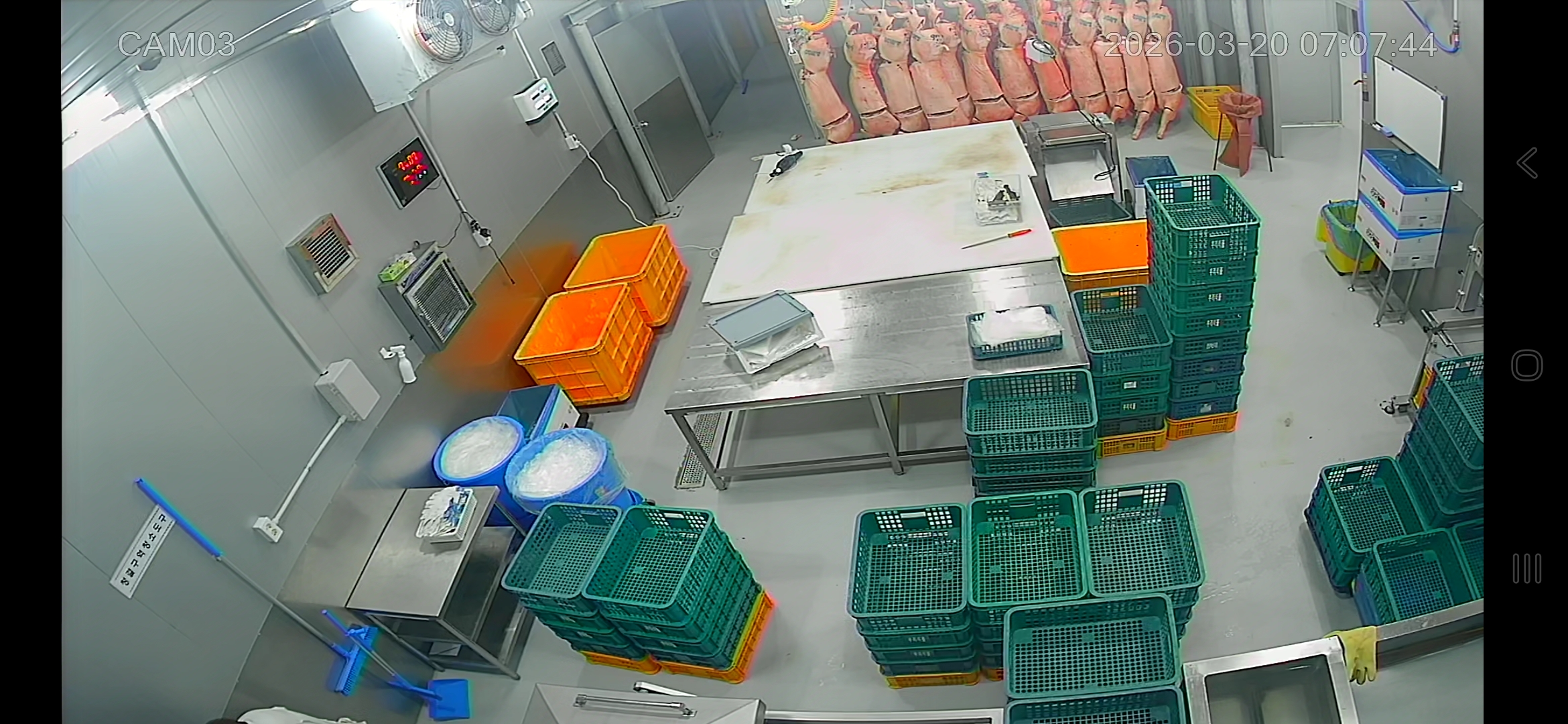 ������ �̹���