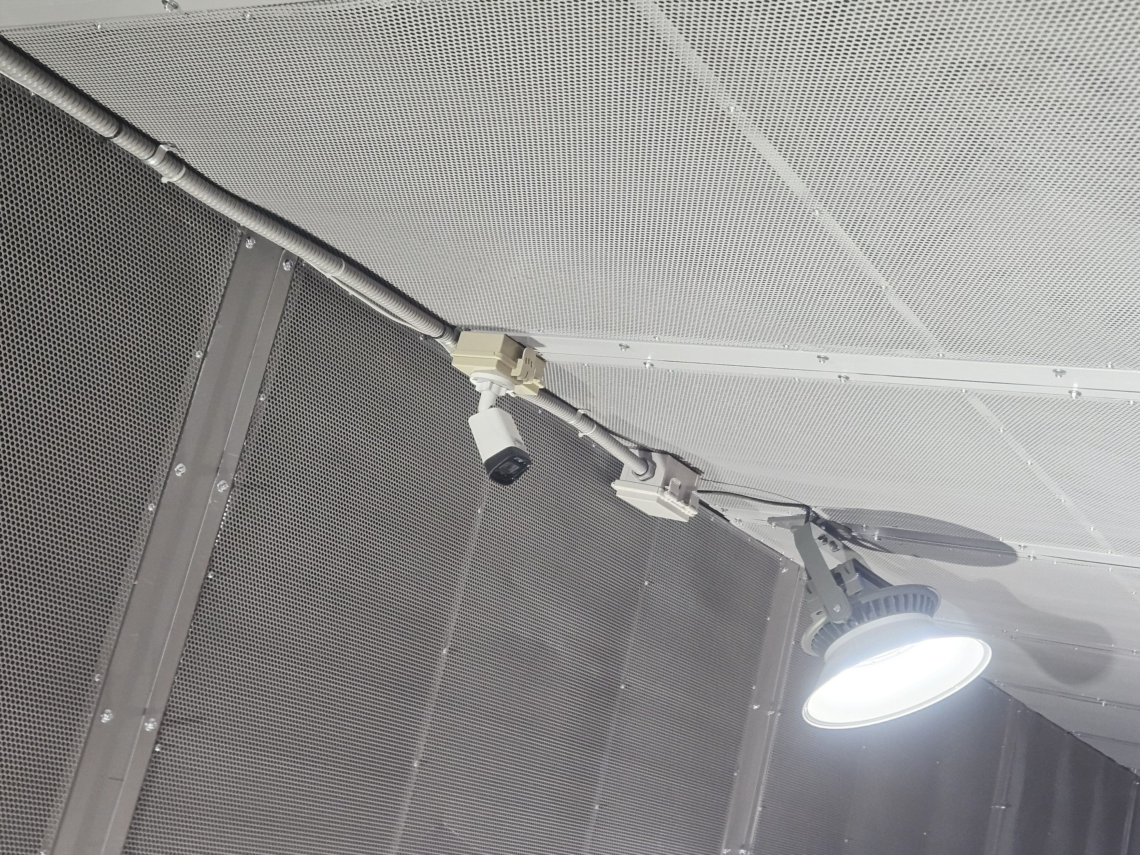 ������ �̹���