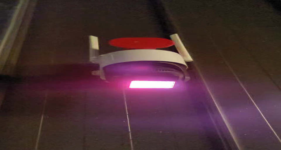 ������ �̹���