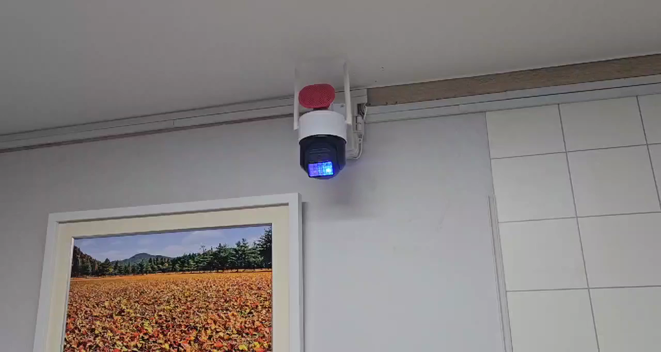 ������ �̹���